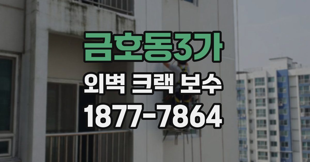 금호동3가 외벽 크랙 보수