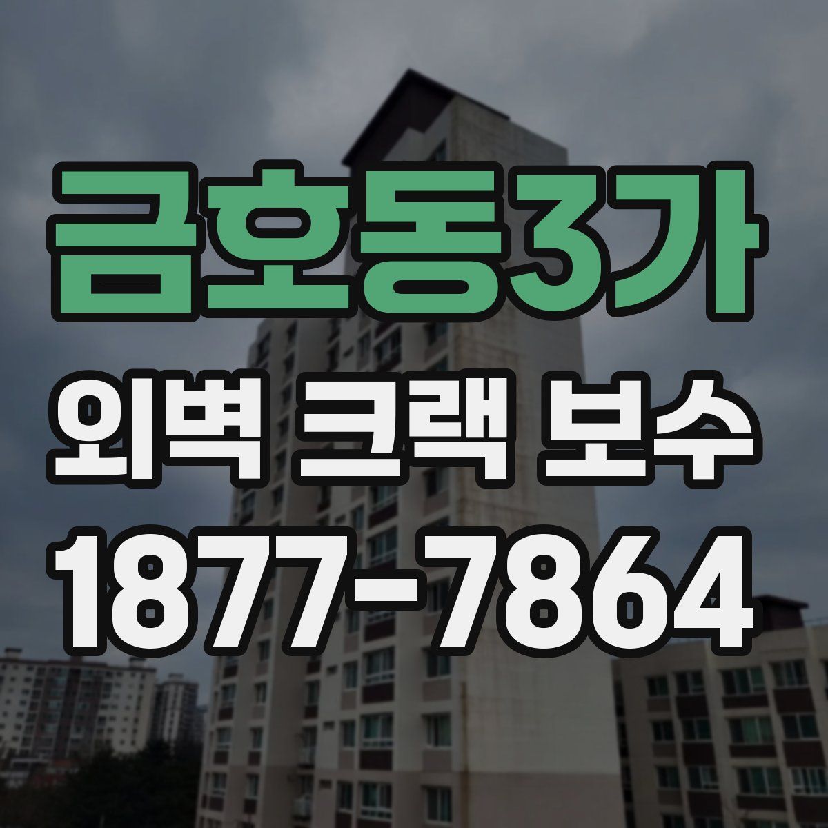 금호동3가 외벽 크랙 보수