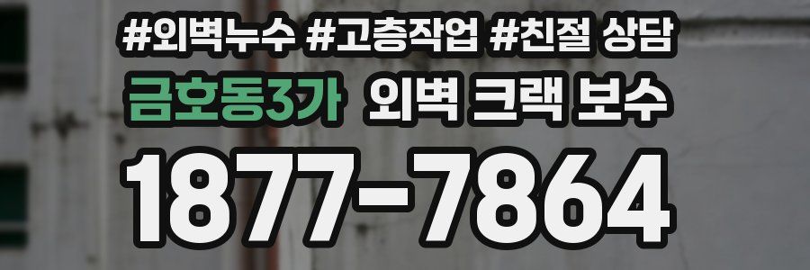 금호동3가 외벽 크랙 보수