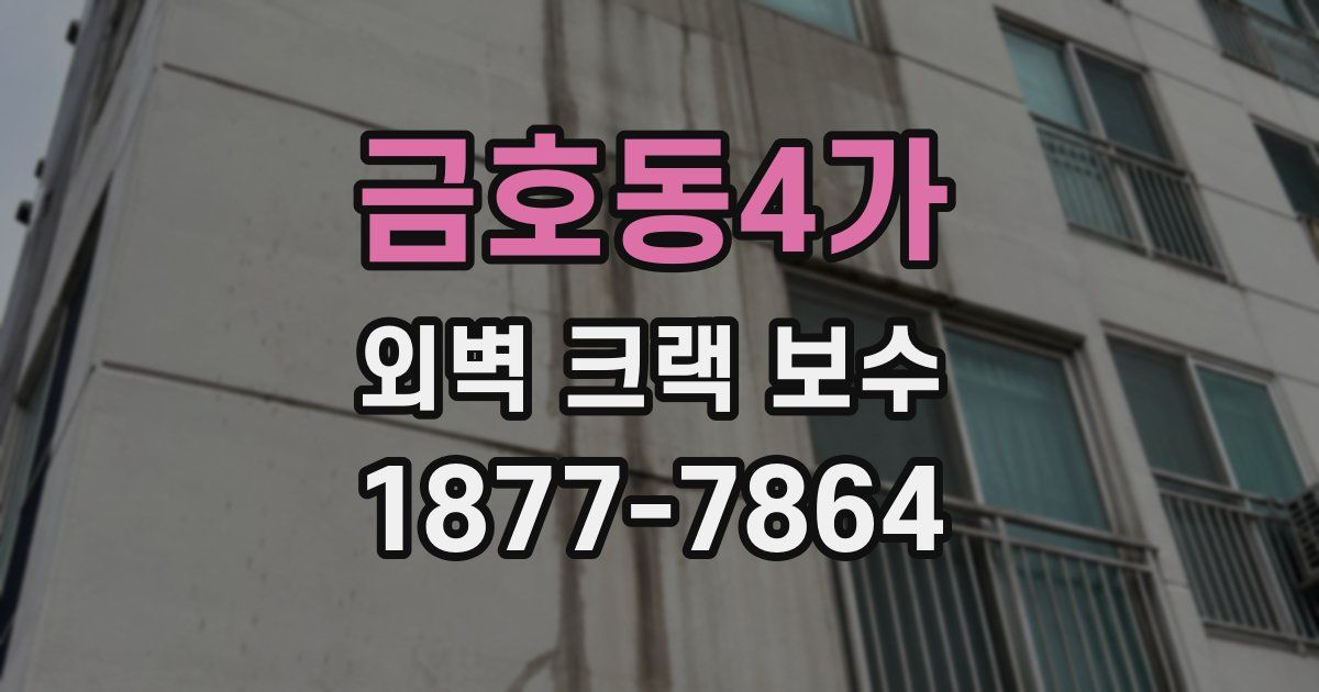 금호동4가 외벽 크랙 보수