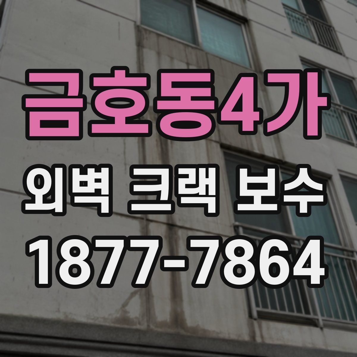 금호동4가 외벽 크랙 보수