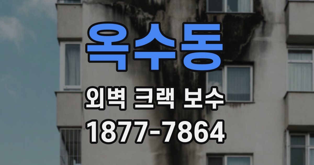 옥수동 외벽 크랙 보수