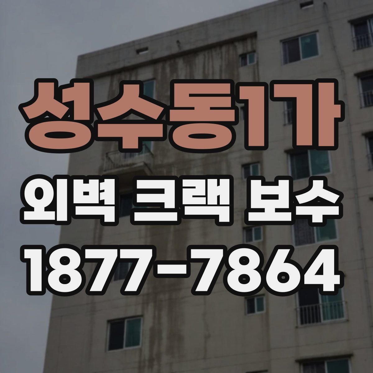 성수동1가 외벽 크랙 보수
