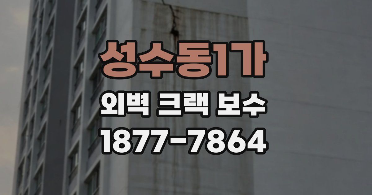 성수동1가 외벽 크랙 보수