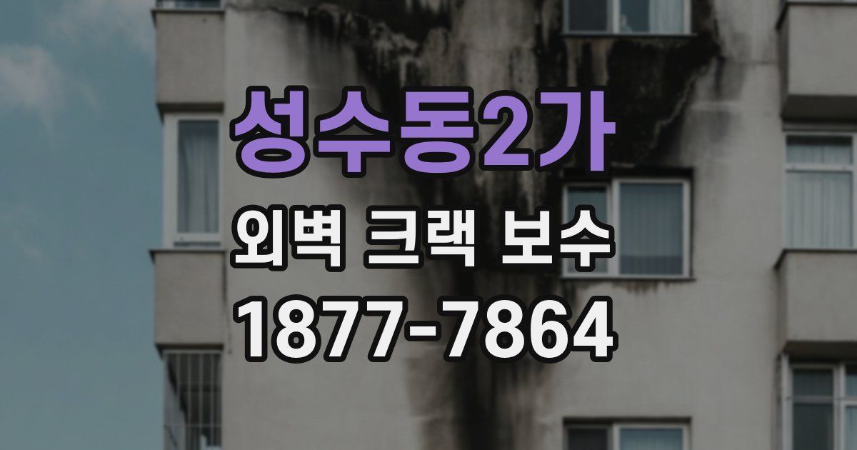 성수동2가 외벽 크랙 보수