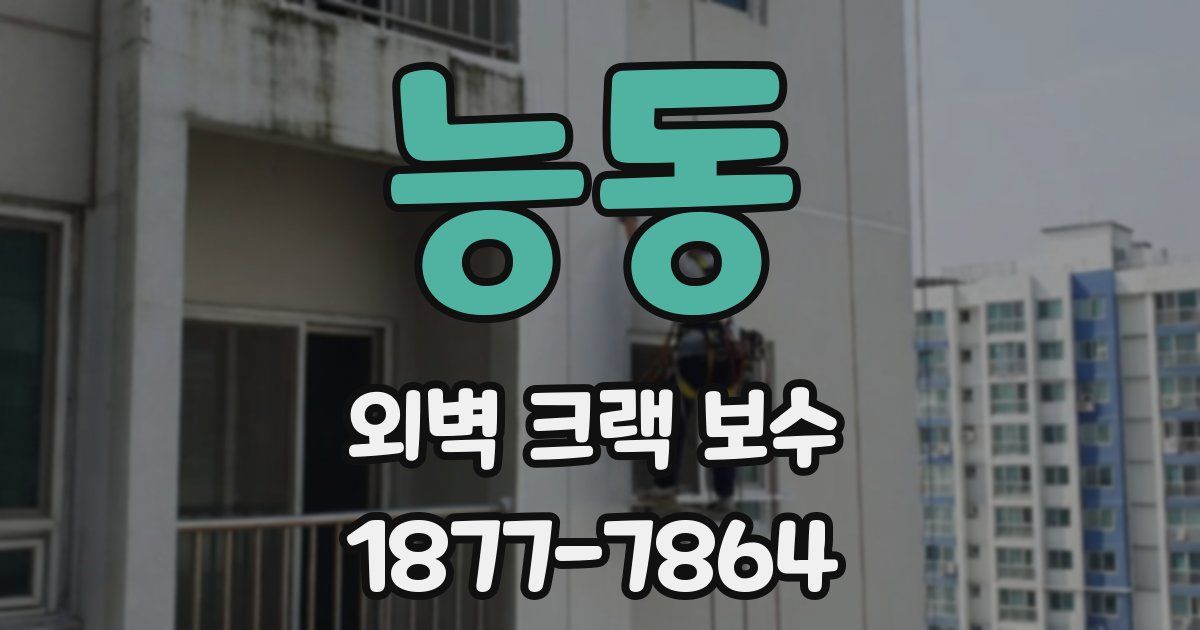 능동 외벽 크랙 보수