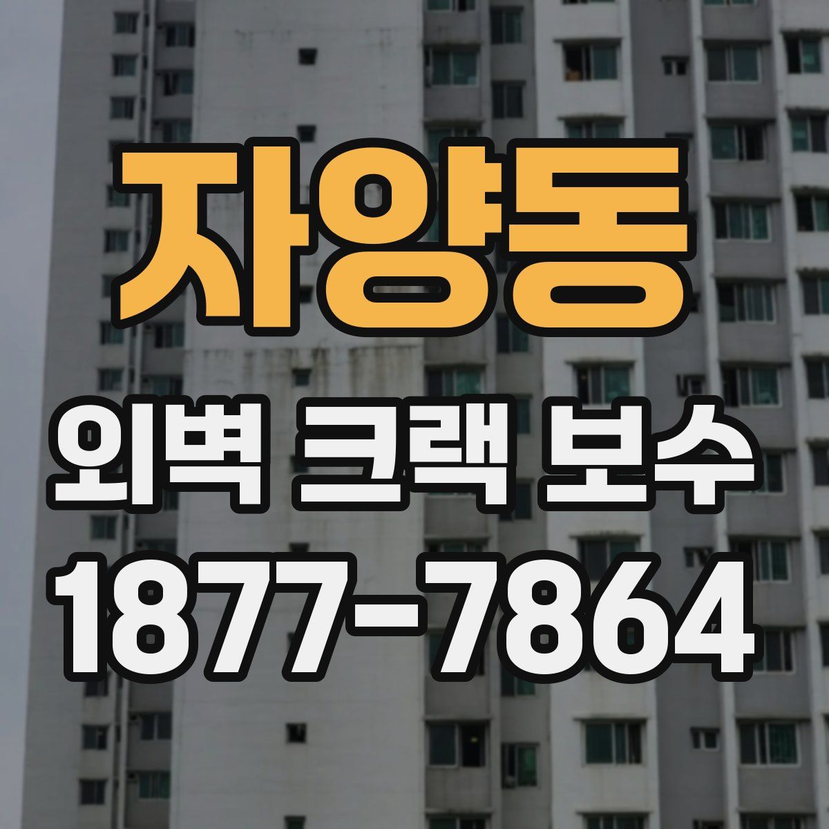 자양동 외벽 크랙 보수