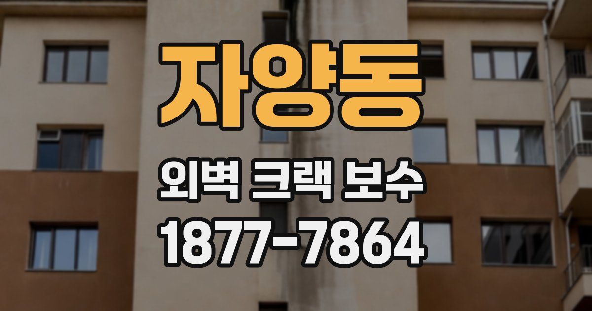 자양동 외벽 크랙 보수