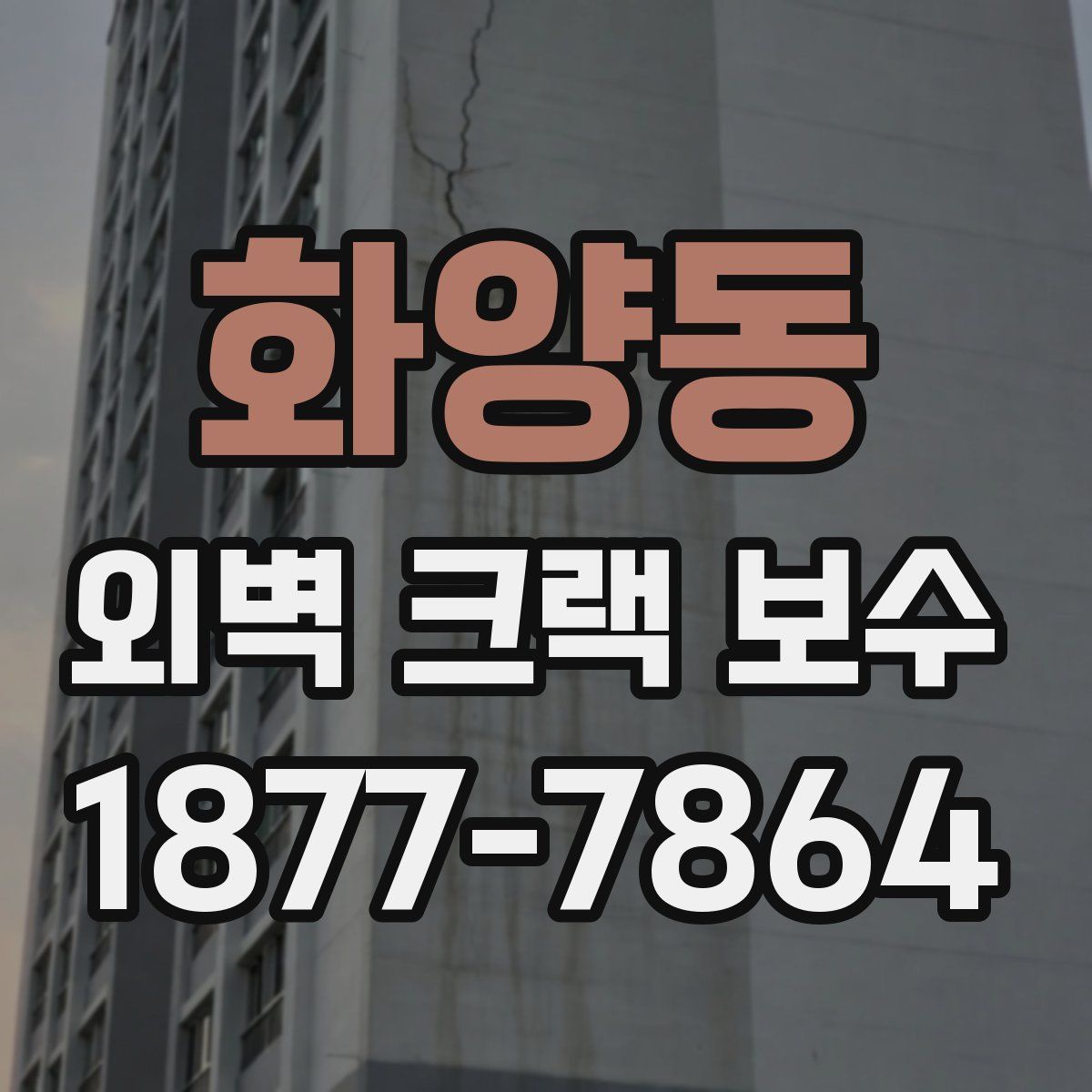 화양동 외벽 크랙 보수