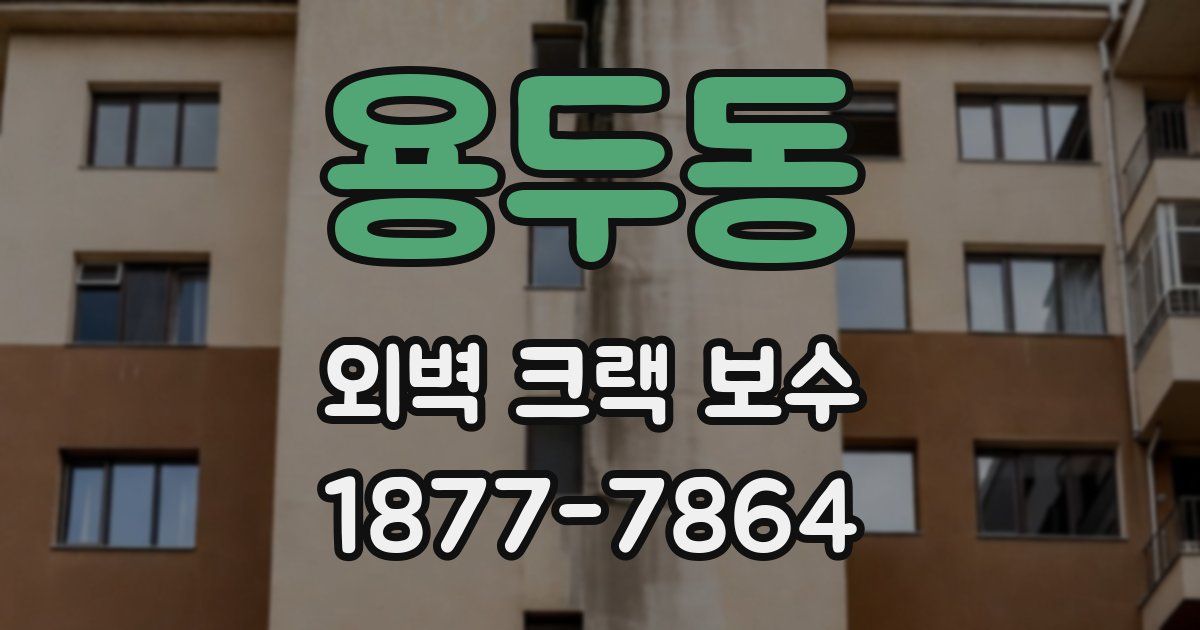 용두동 외벽 크랙 보수