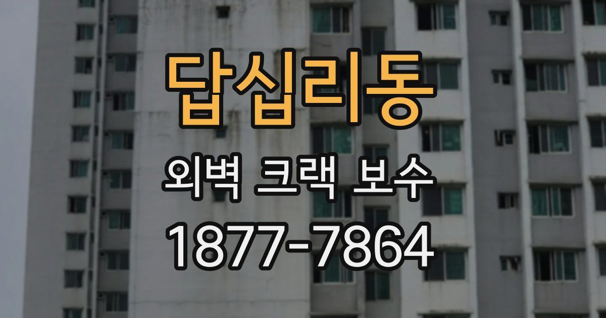 답십리동 외벽 크랙 보수