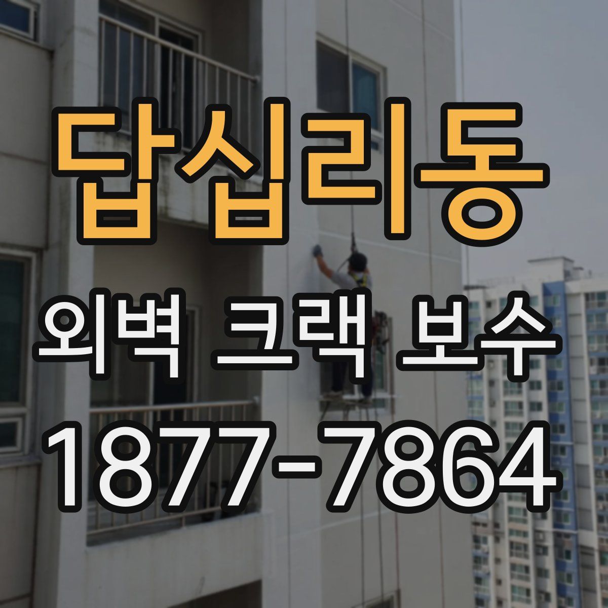 답십리동 외벽 크랙 보수