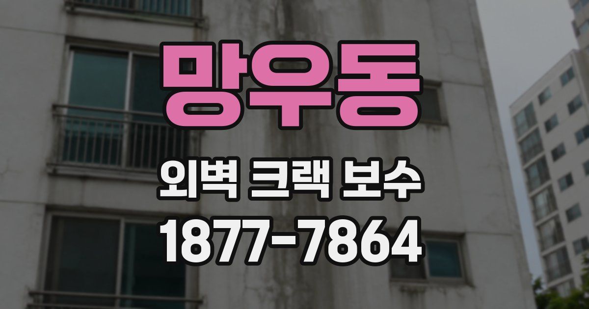 망우동 외벽 크랙 보수
