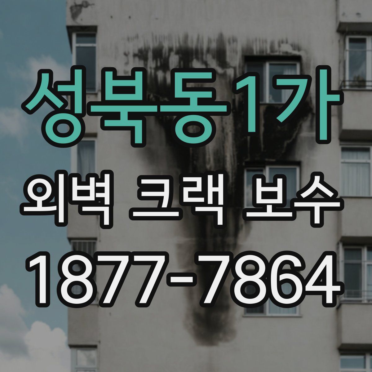 성북동1가 외벽 크랙 보수