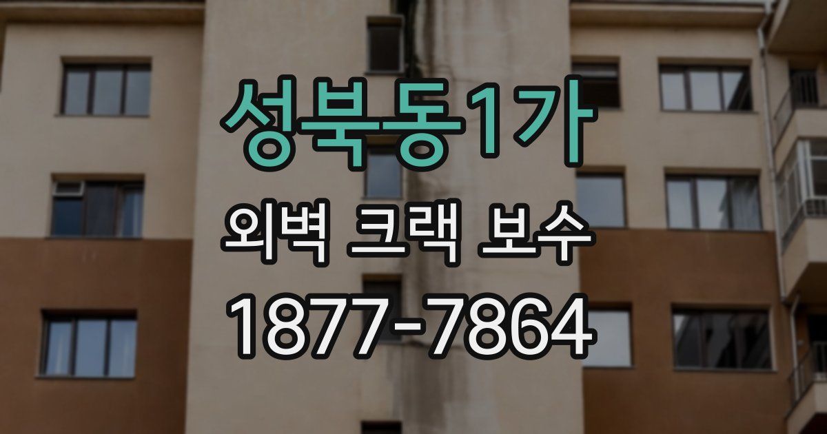 성북동1가 외벽 크랙 보수