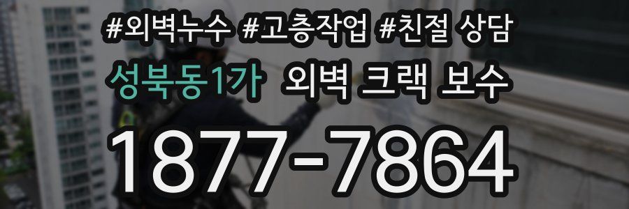 성북동1가 외벽 크랙 보수