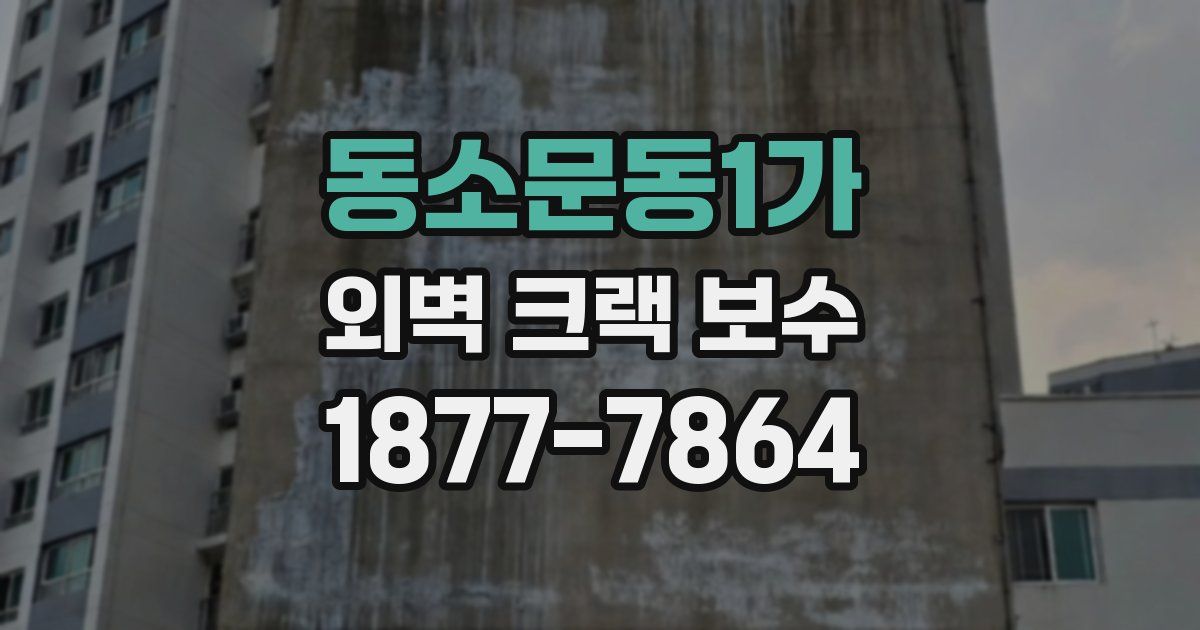 동소문동1가 외벽 크랙 보수