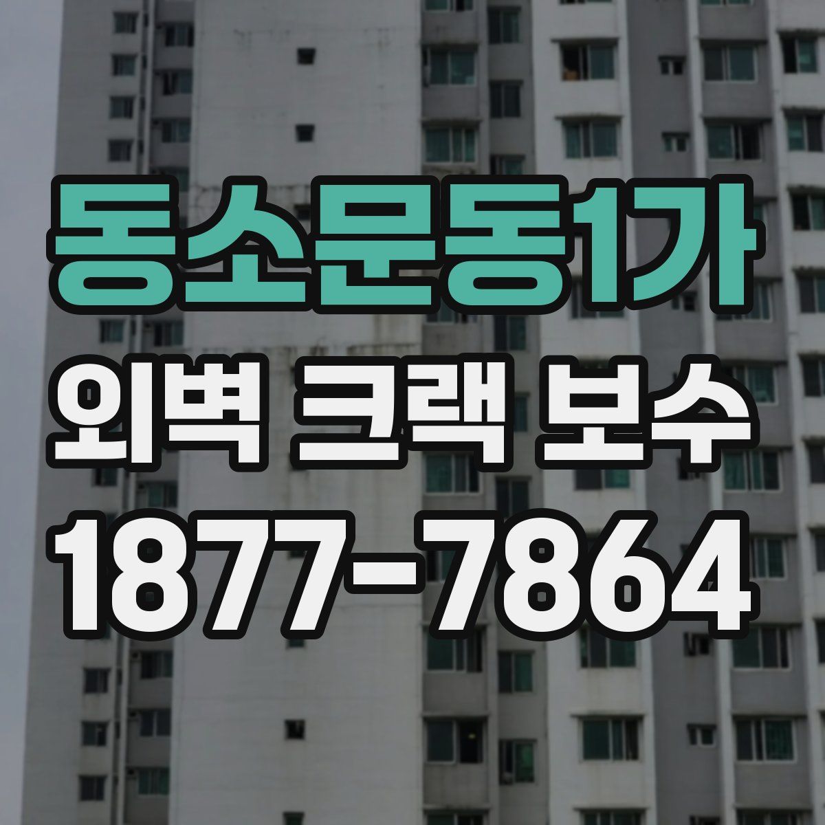 동소문동1가 외벽 크랙 보수