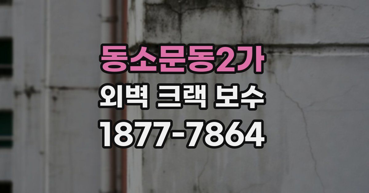 동소문동2가 외벽 크랙 보수