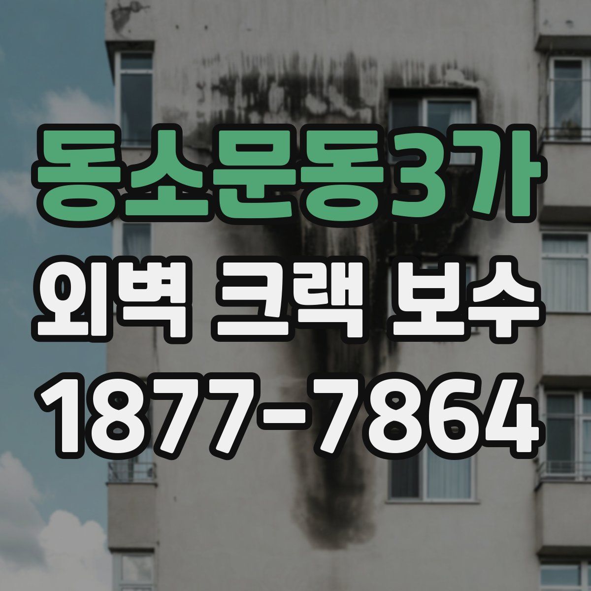 동소문동3가 외벽 크랙 보수