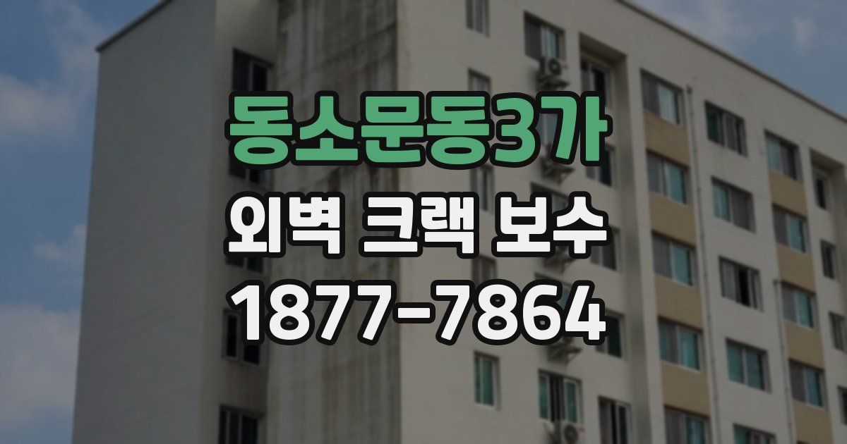 동소문동3가 외벽 크랙 보수