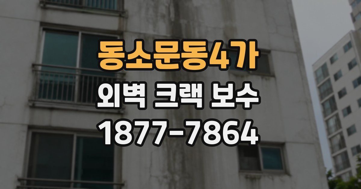 동소문동4가 외벽 크랙 보수