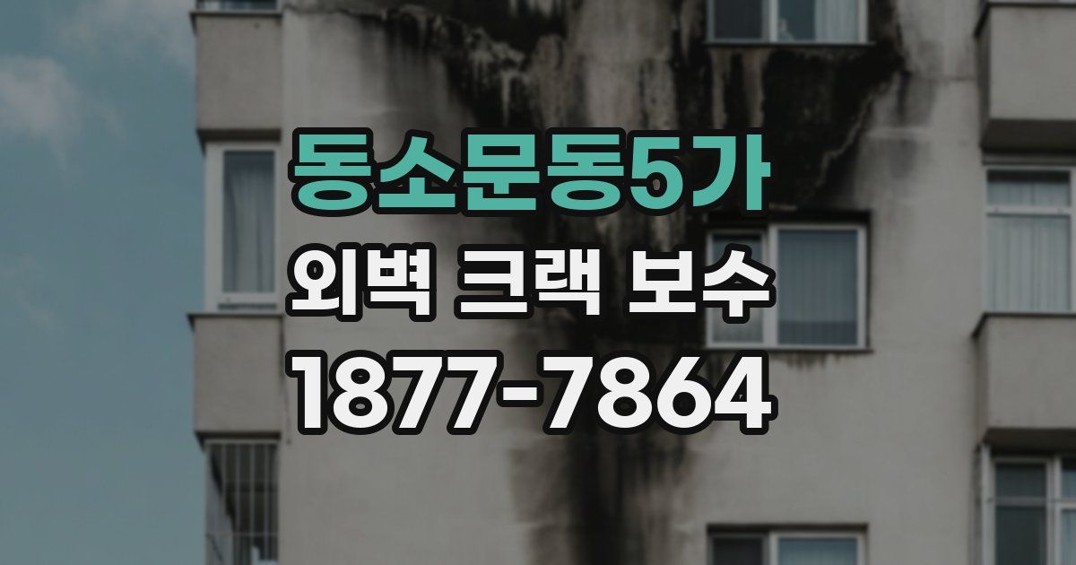 동소문동5가 외벽 크랙 보수