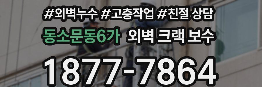 동소문동6가 외벽 크랙 보수