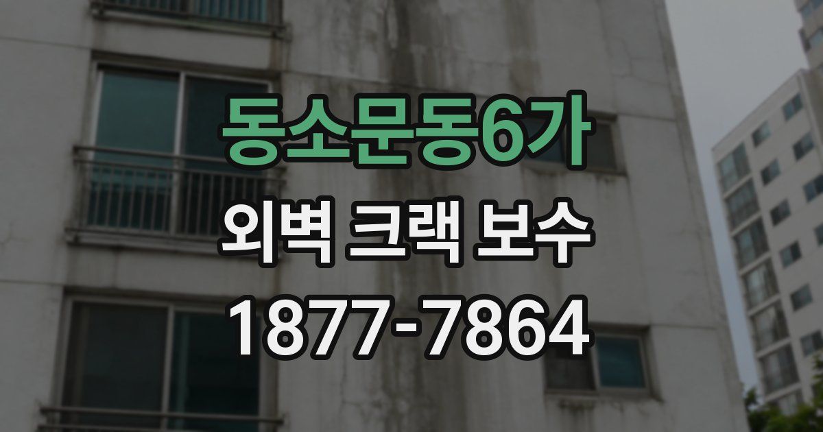 동소문동6가 외벽 크랙 보수