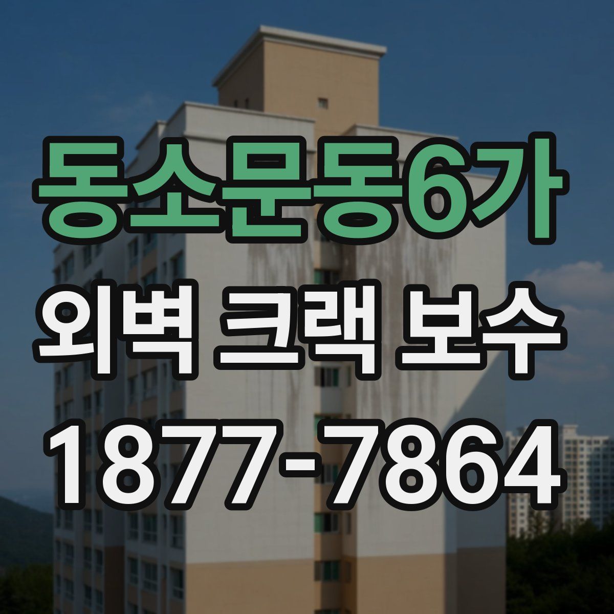 동소문동6가 외벽 크랙 보수