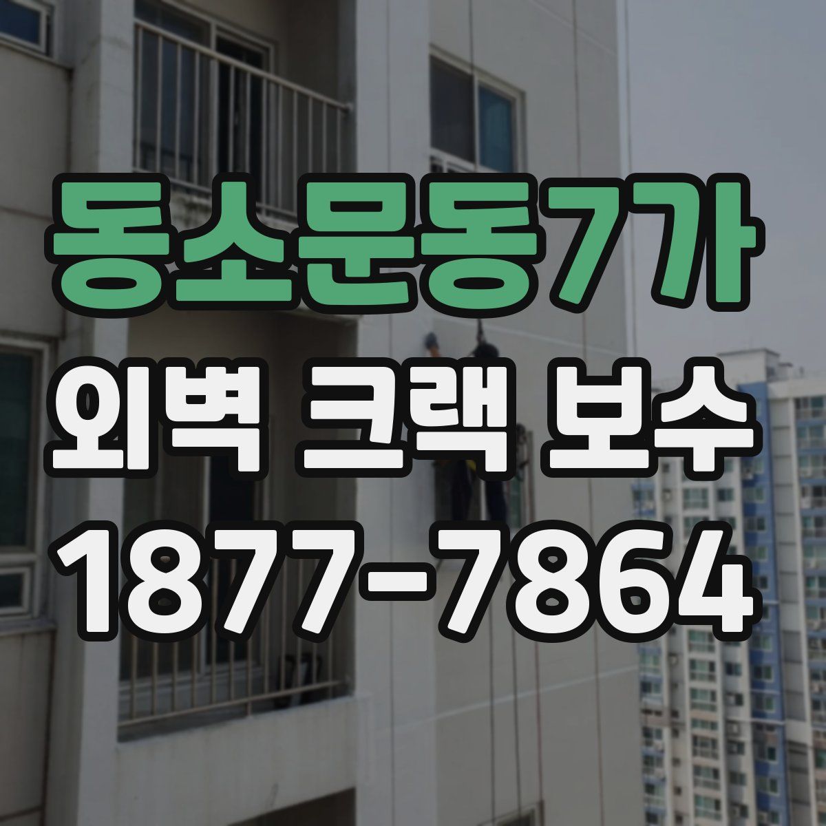 동소문동7가 외벽 크랙 보수