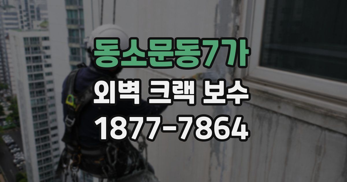 동소문동7가 외벽 크랙 보수