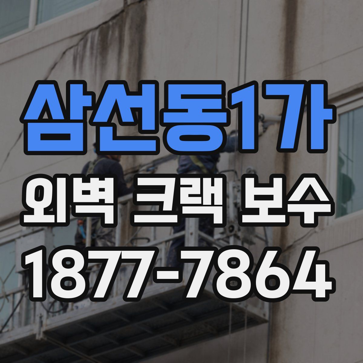 삼선동1가 외벽 크랙 보수