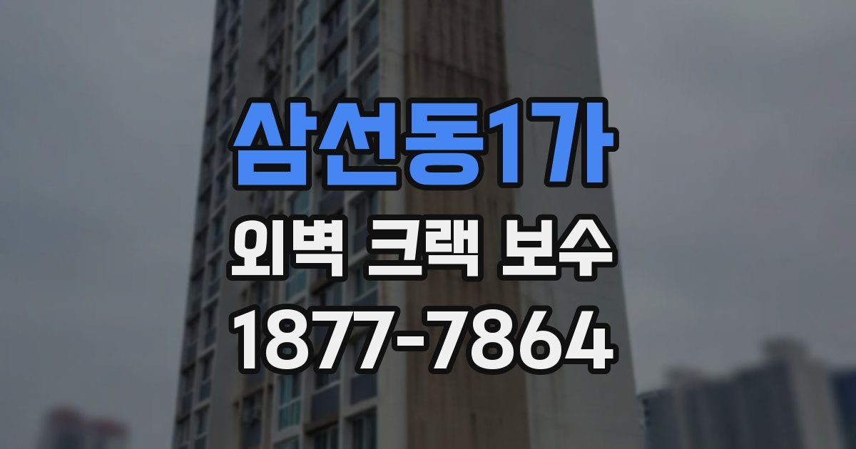삼선동1가 외벽 크랙 보수