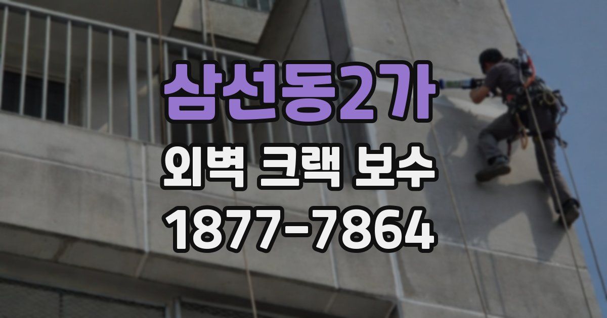 삼선동2가 외벽 크랙 보수