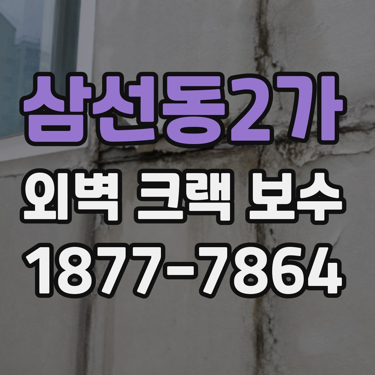삼선동2가 외벽 크랙 보수