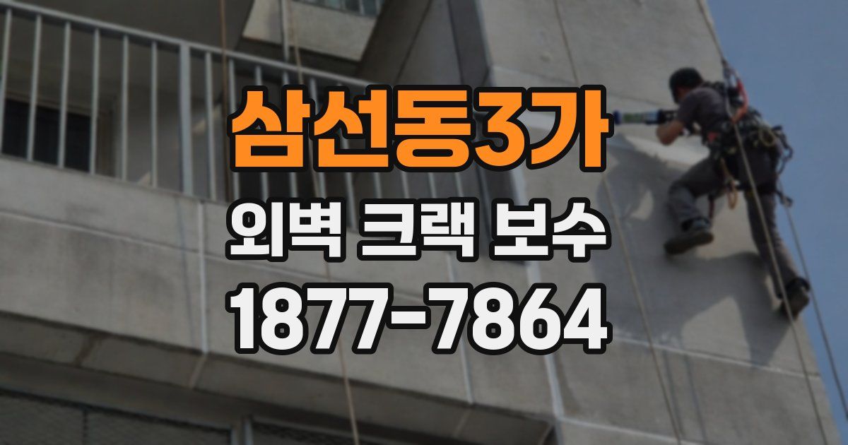 삼선동3가 외벽 크랙 보수