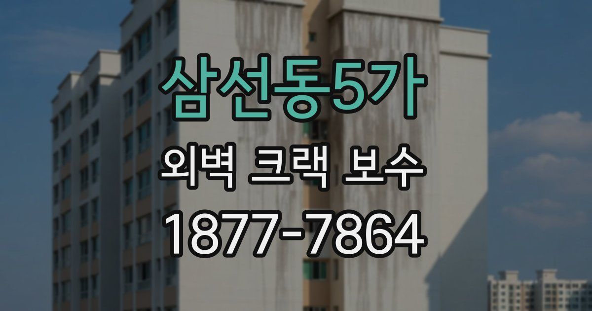 삼선동5가 외벽 크랙 보수