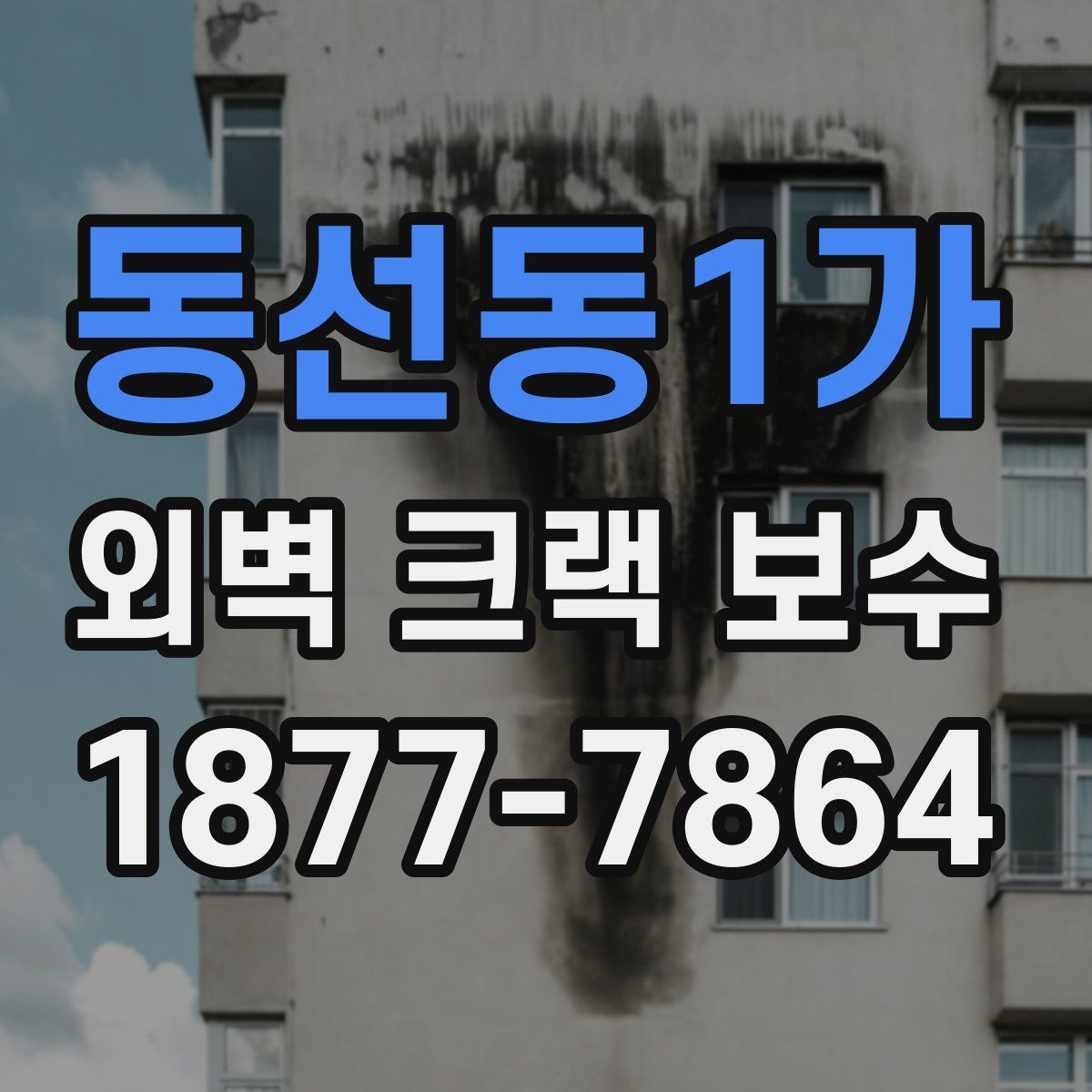 동선동1가 외벽 크랙 보수