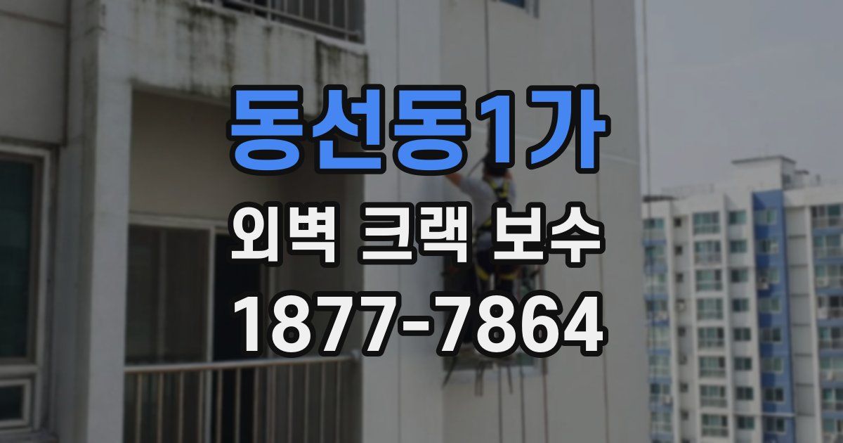 동선동1가 외벽 크랙 보수