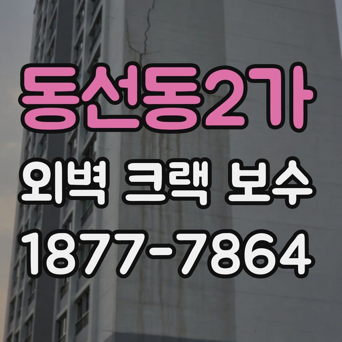 동선동2가 외벽 크랙 보수 시 균열 폭에 따라 달라지는 대응