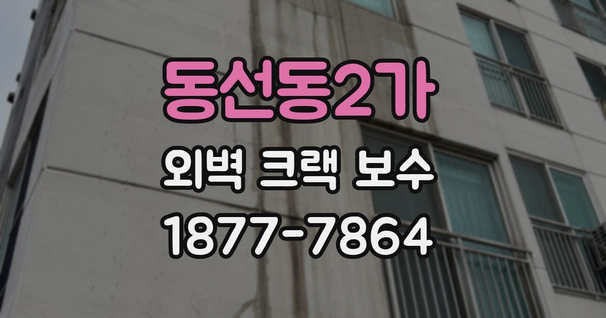 동선동2가 외벽 크랙 보수