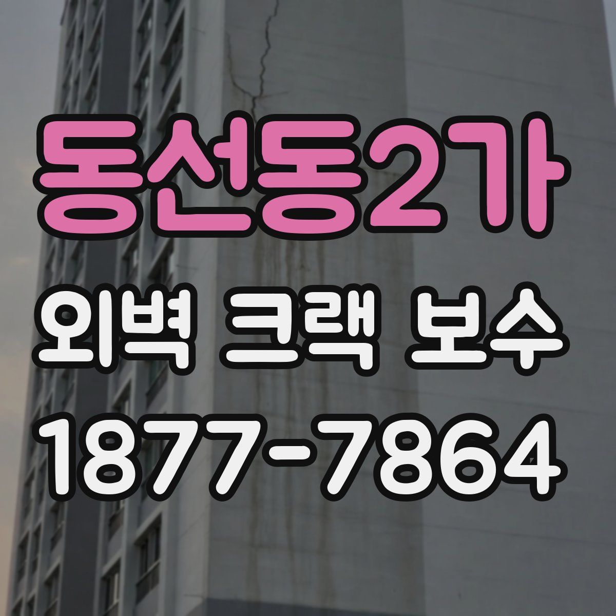 동선동2가 외벽 크랙 보수