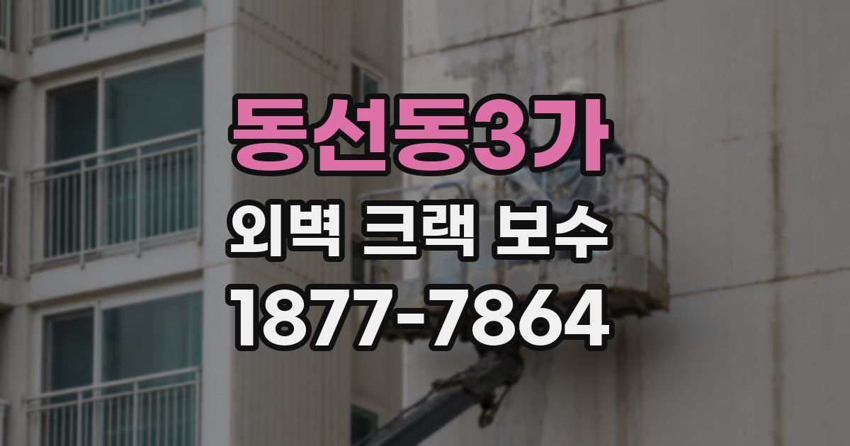 동선동3가 외벽 크랙 보수