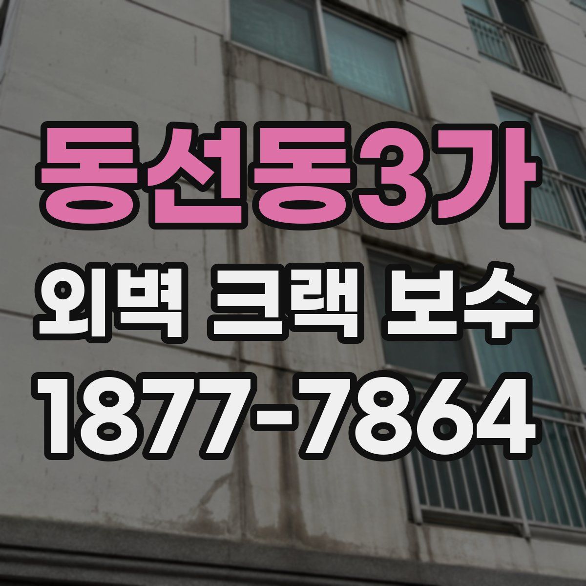 동선동3가 외벽 크랙 보수