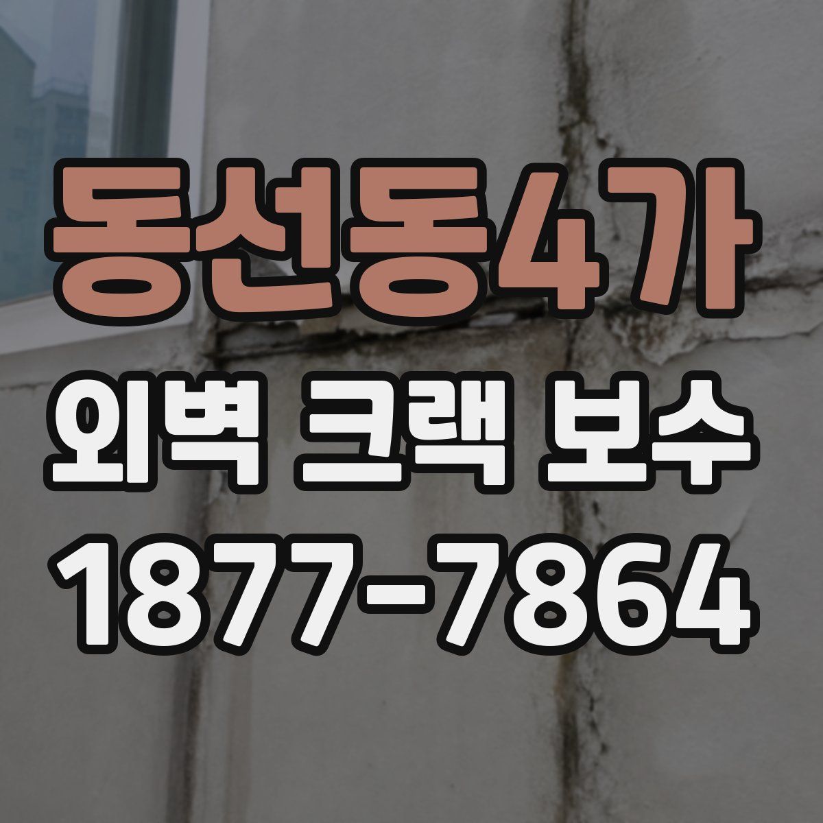 동선동4가 외벽 크랙 보수