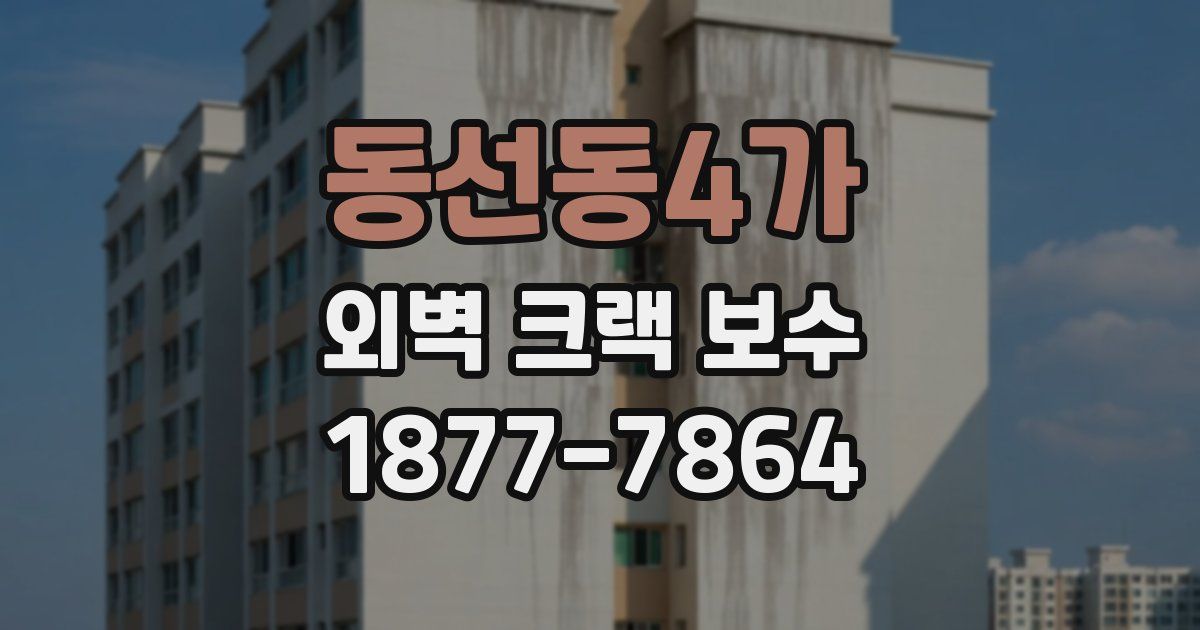 동선동4가 외벽 크랙 보수