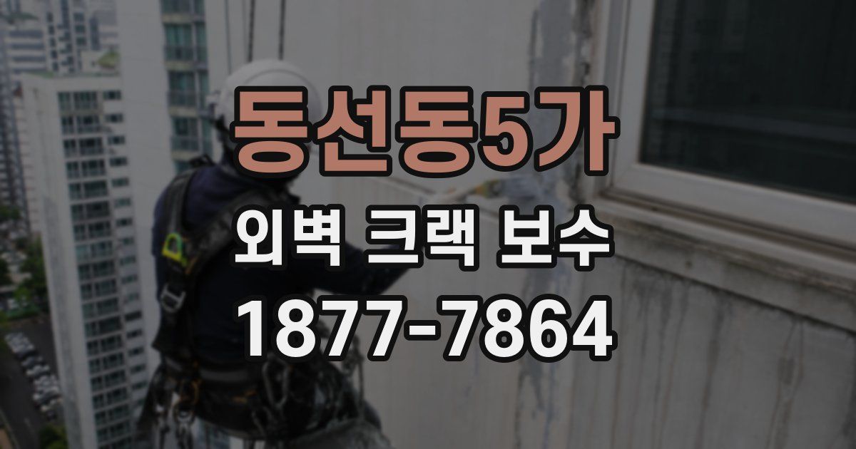 동선동5가 외벽 크랙 보수