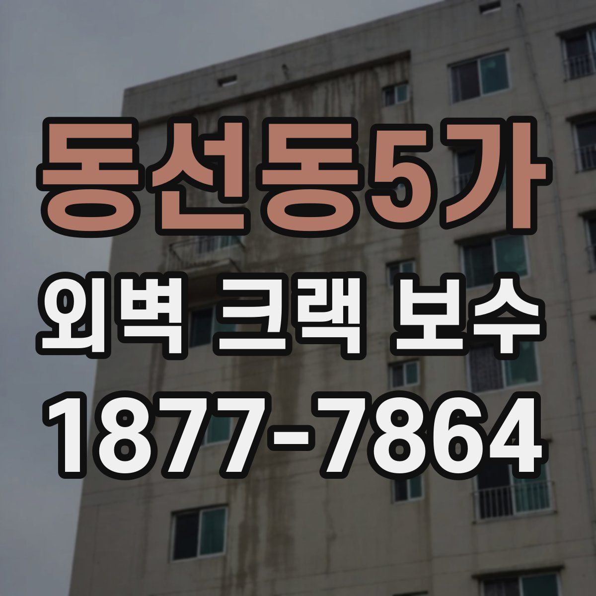동선동5가 외벽 크랙 보수
