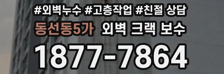 동선동5가 외벽 크랙 보수